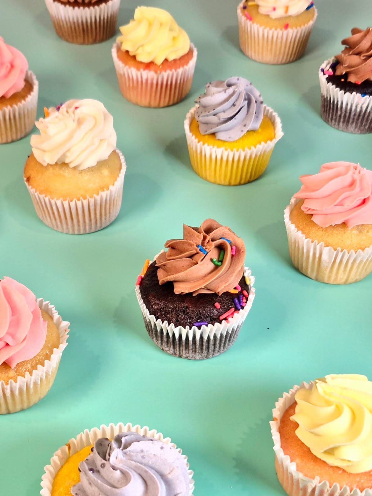 The Cupcakes